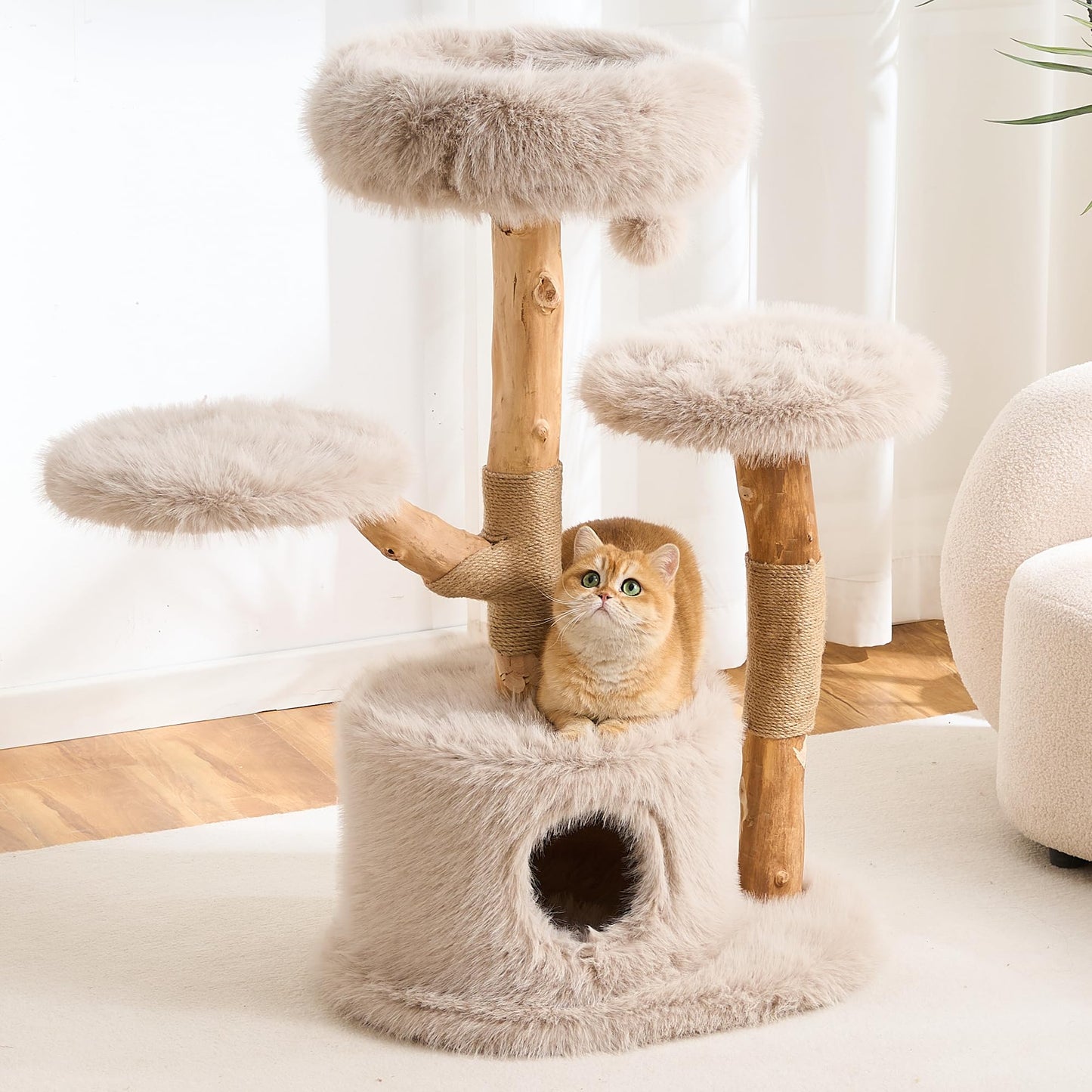 Solid Wood Cat Tree Tower Scratching Post Space Capsule Bed