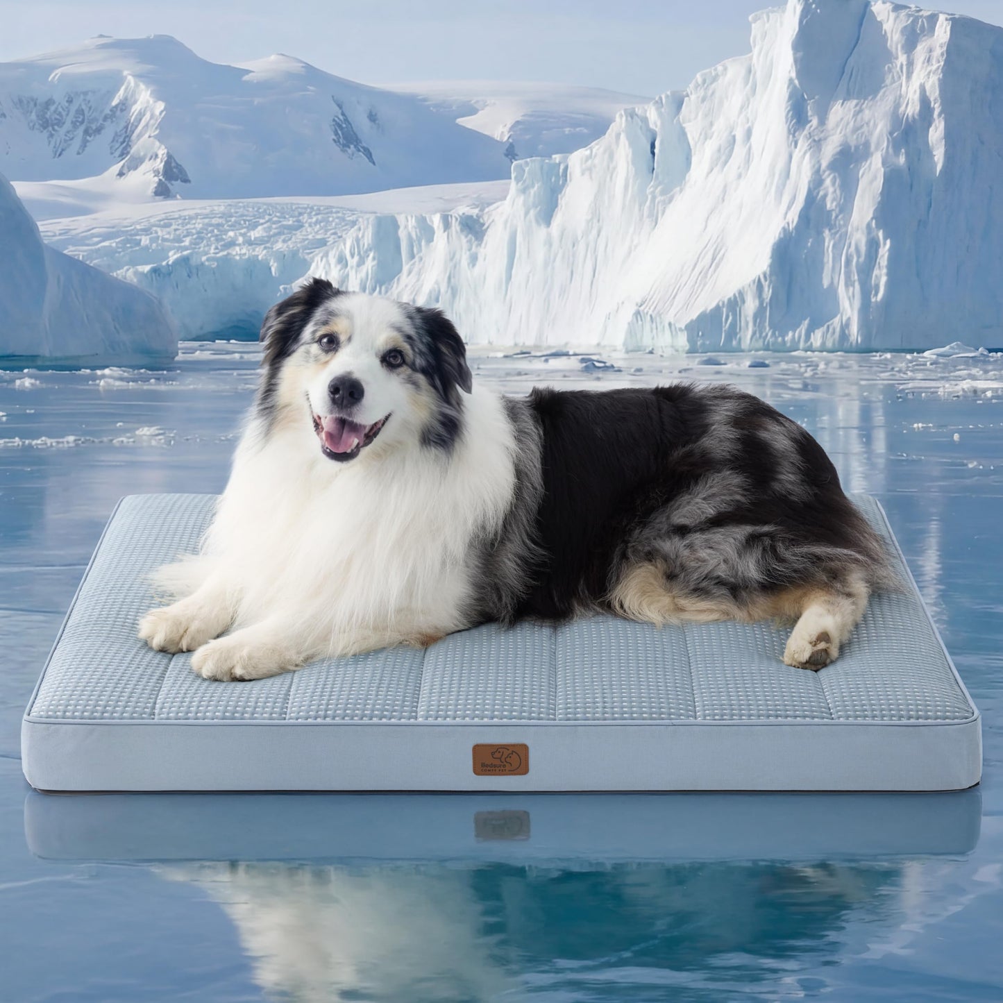 Orthopedic Foam Dog Bed Egg Crate Washable Cover Mat