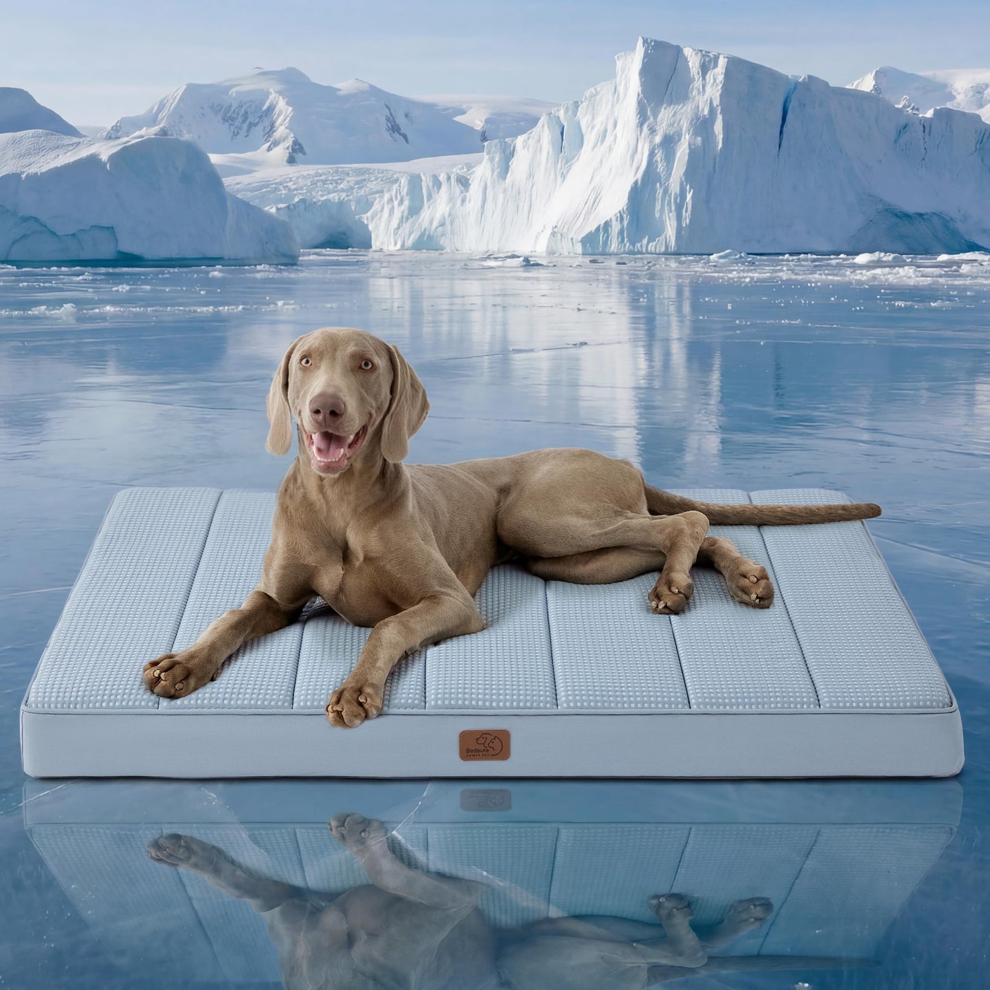 Orthopedic Foam Dog Bed Egg Crate Washable Cover Mat