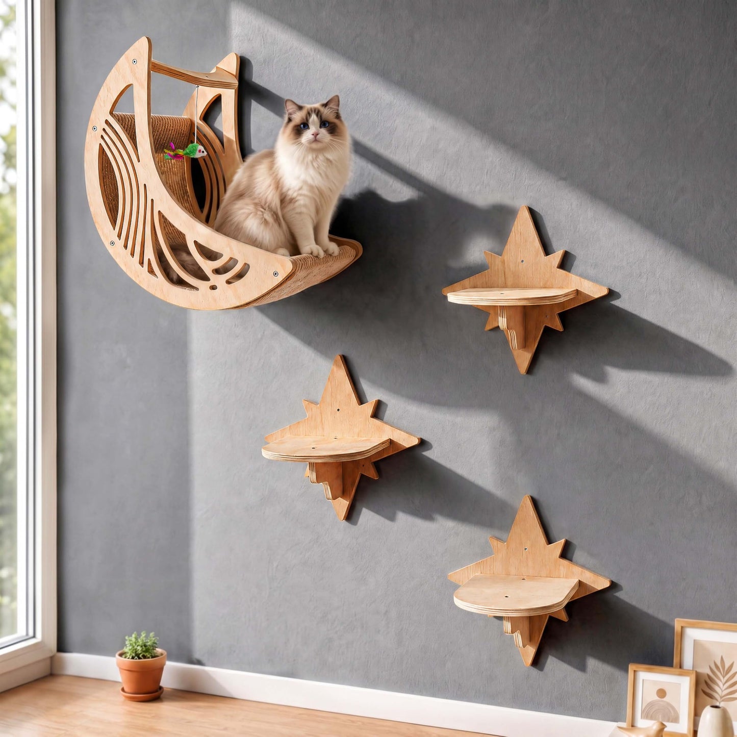 Catails CWS for Indoor Cat - Moon&Star