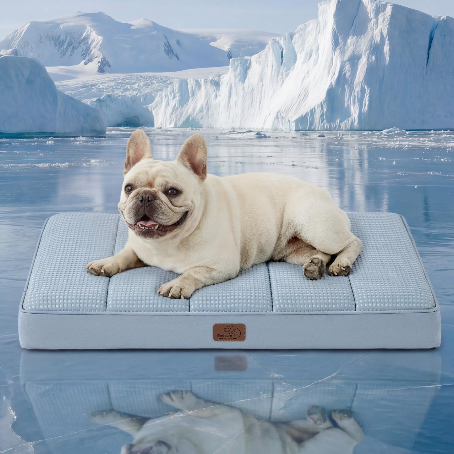 Orthopedic Foam Dog Bed Egg Crate Washable Cover Mat