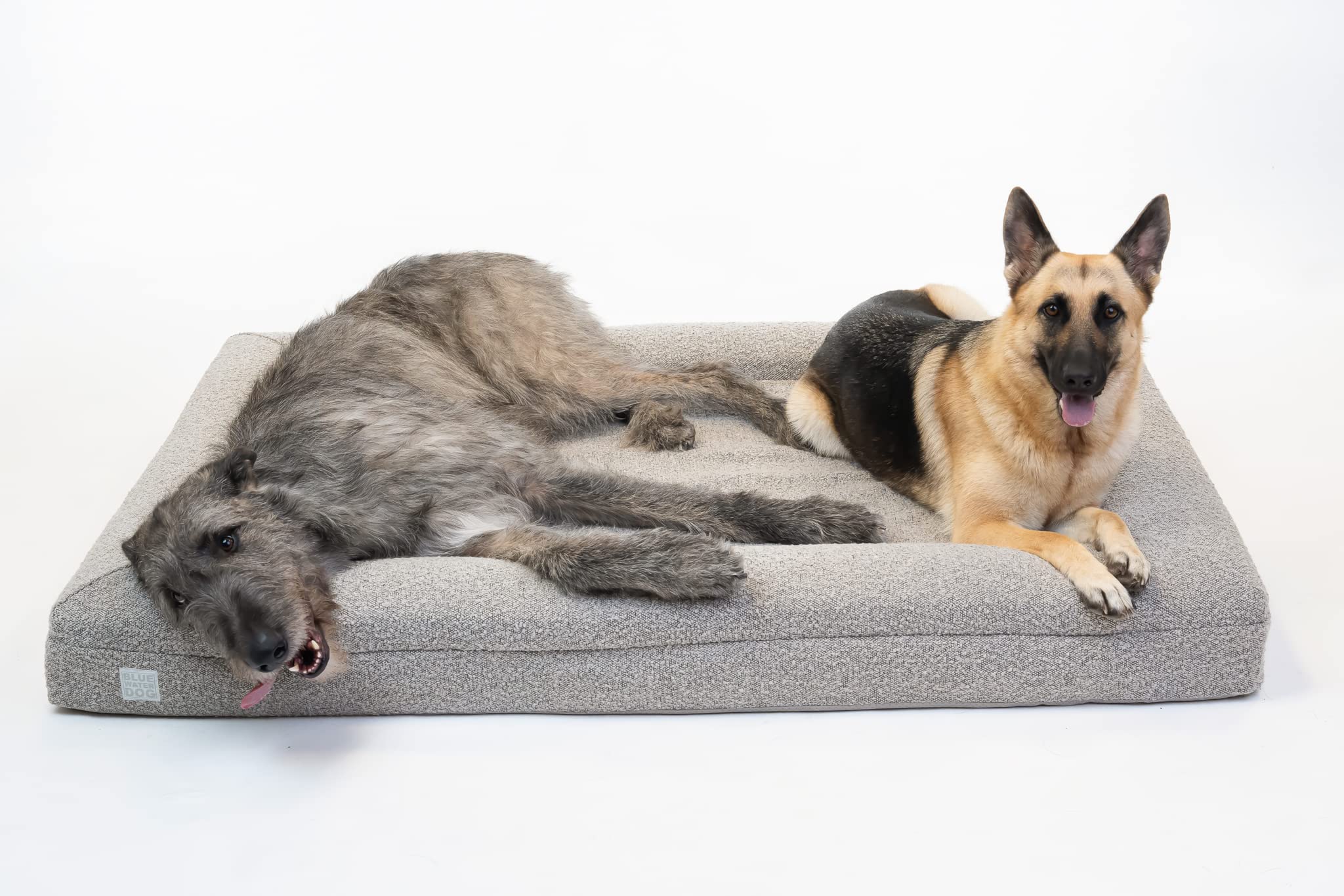 Bluewater Dog Boucle Orthopedic Memory Foam Bed with Machine Washable Boucle Cover and Waterproof Liner