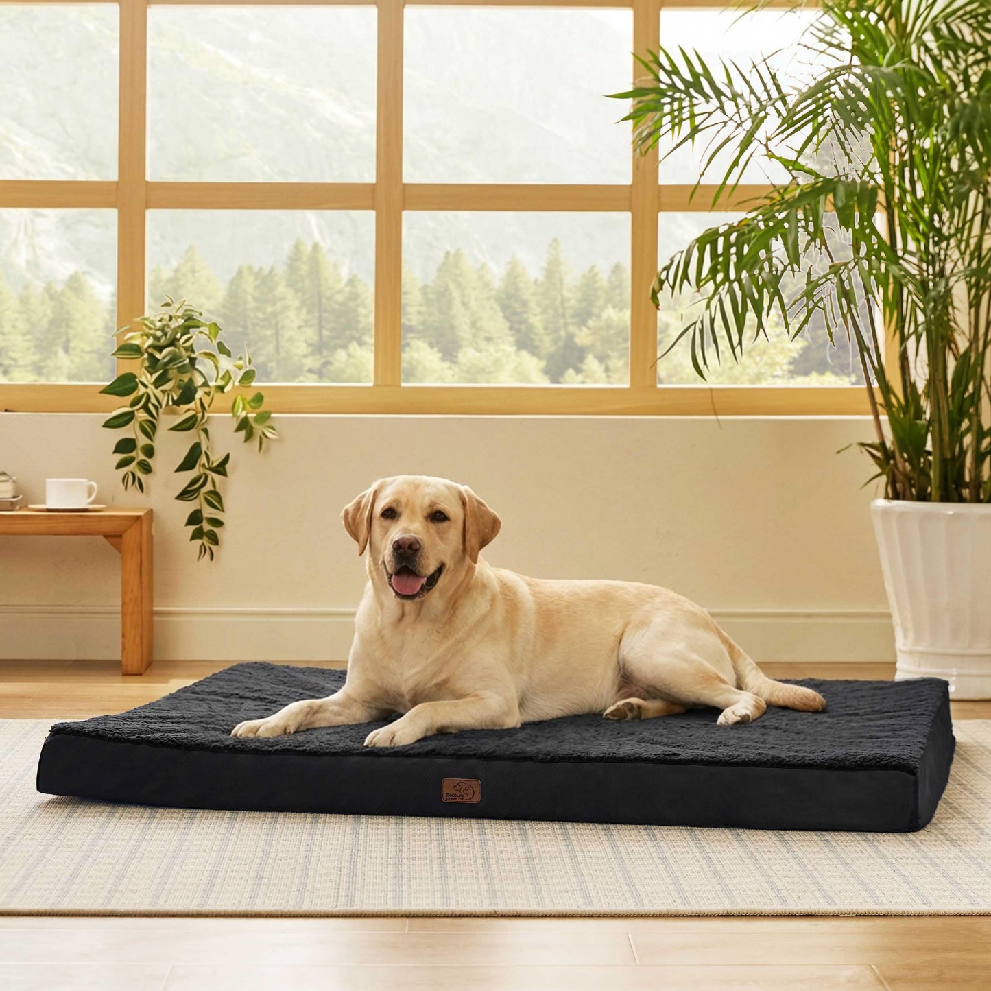 Orthopedic Foam Dog Bed Egg Crate Washable Cover Mat