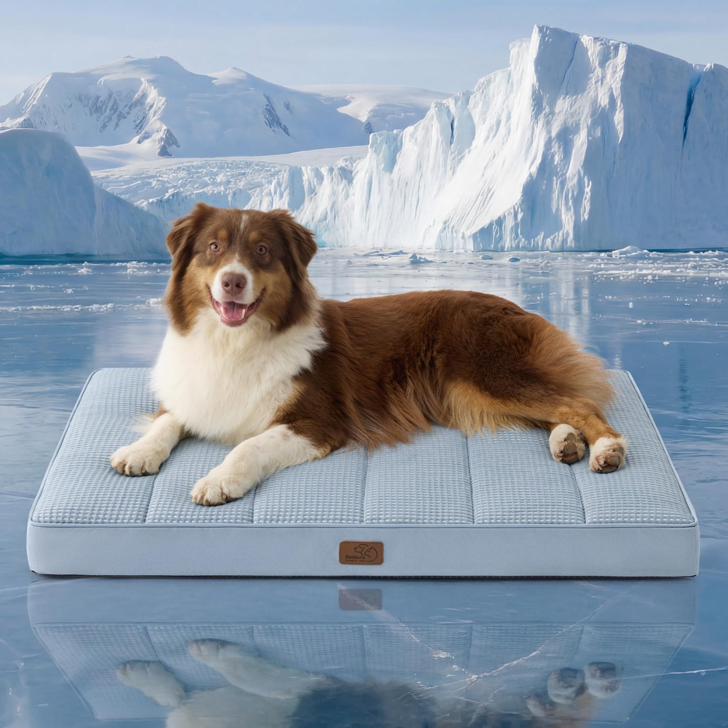 Orthopedic Foam Dog Bed Egg Crate Washable Cover Mat