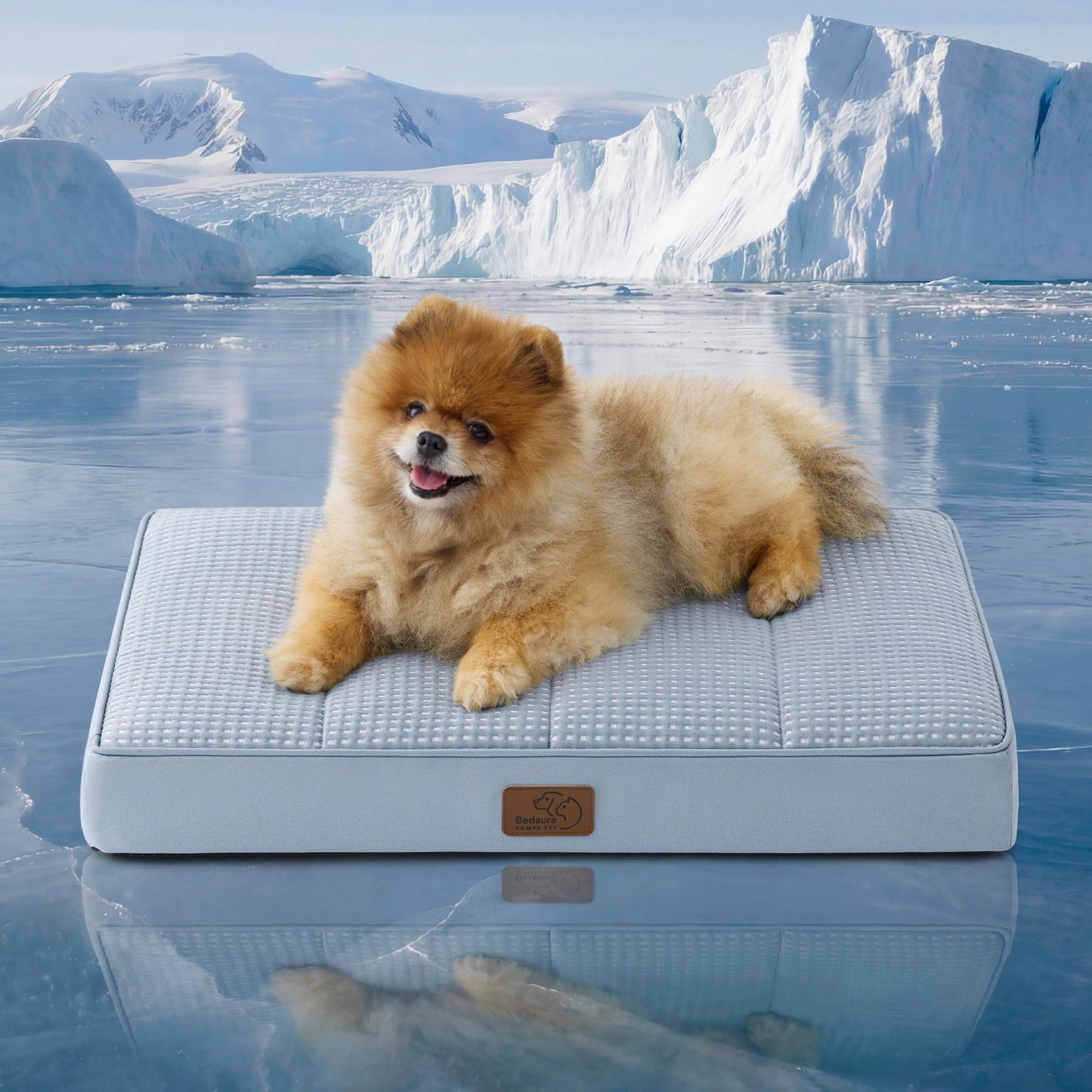 Orthopedic Foam Dog Bed Egg Crate Washable Cover Mat