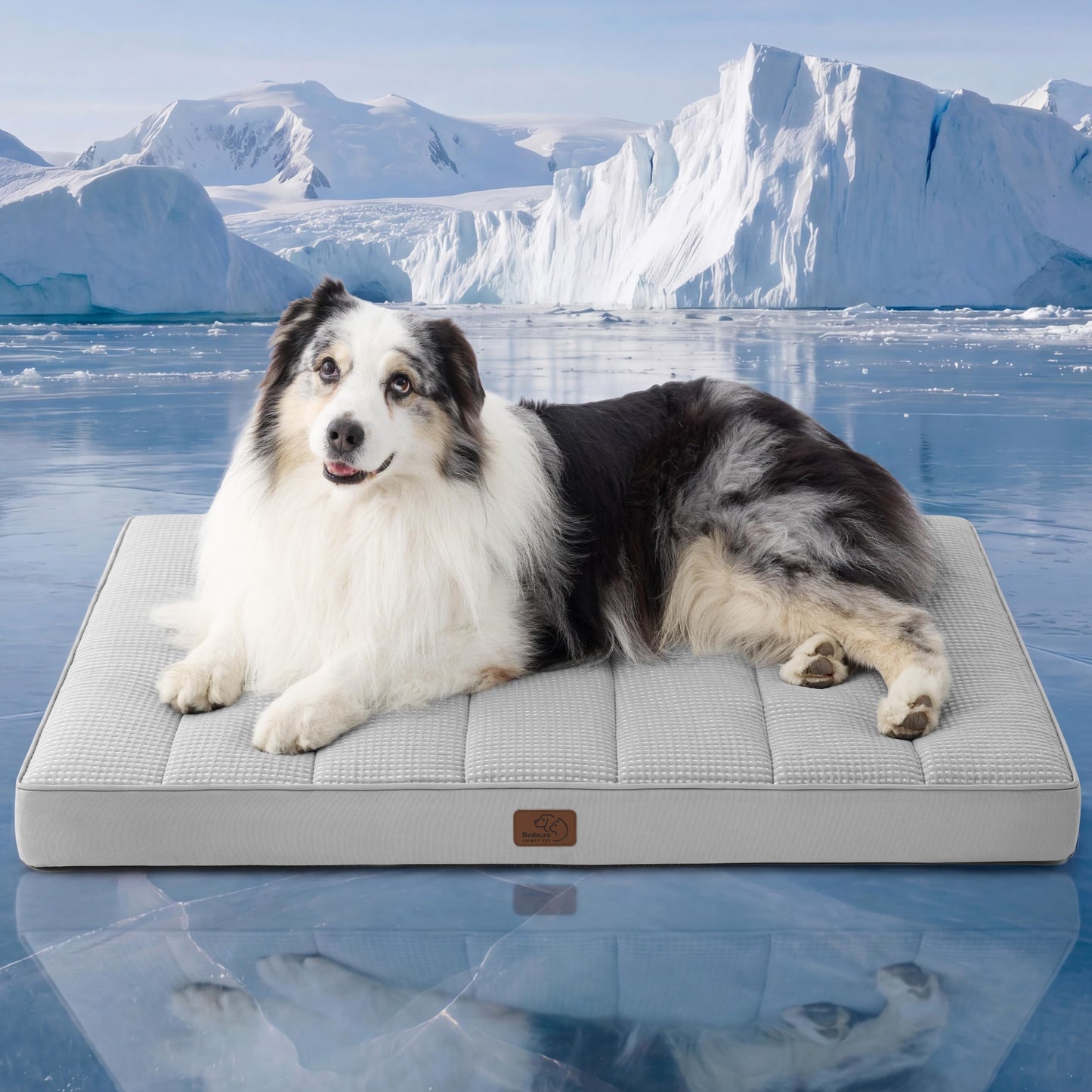 Orthopedic Foam Dog Bed Egg Crate Washable Cover Mat