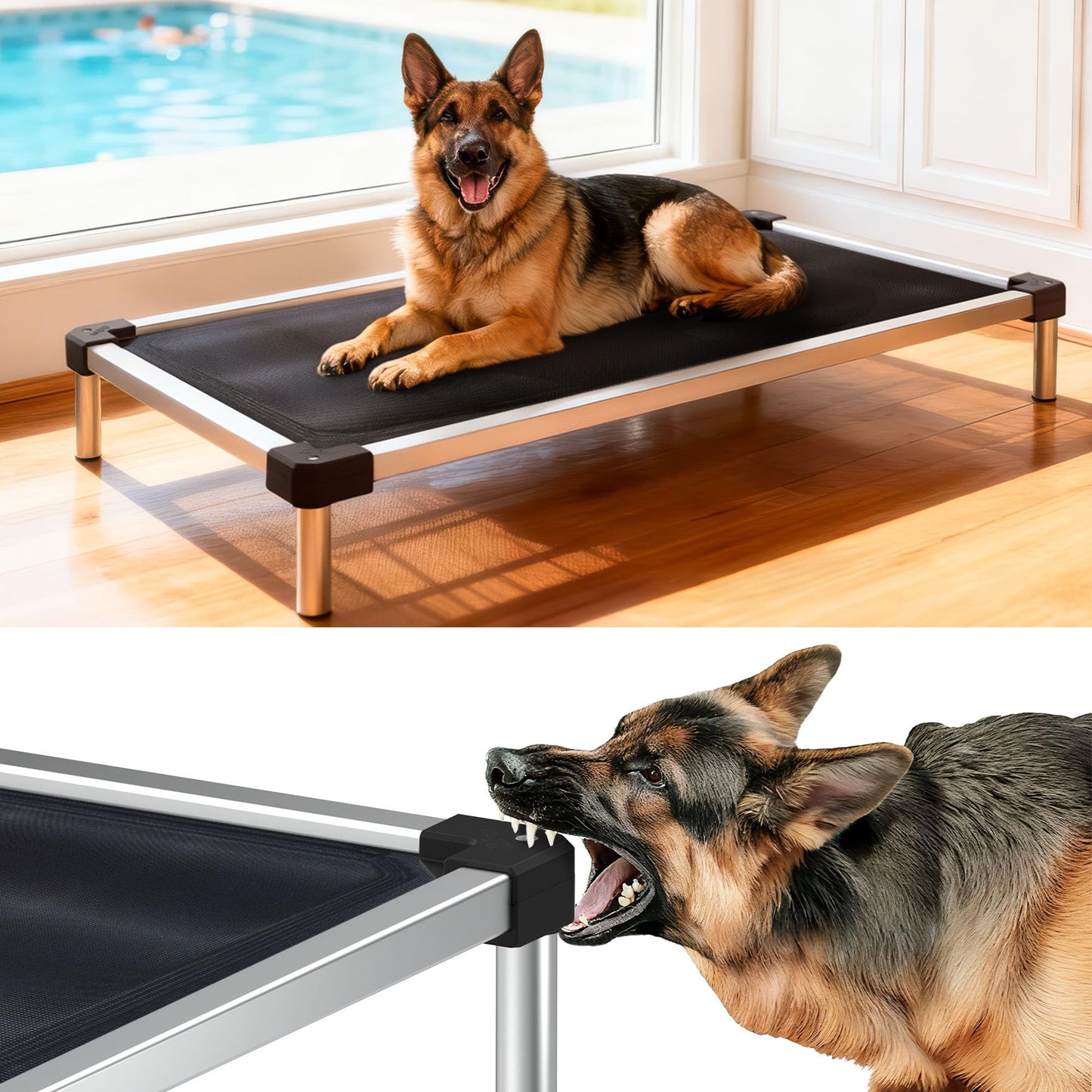 Chew Proof Elevated Dog Bed Raised Cooling Cot Waterproof