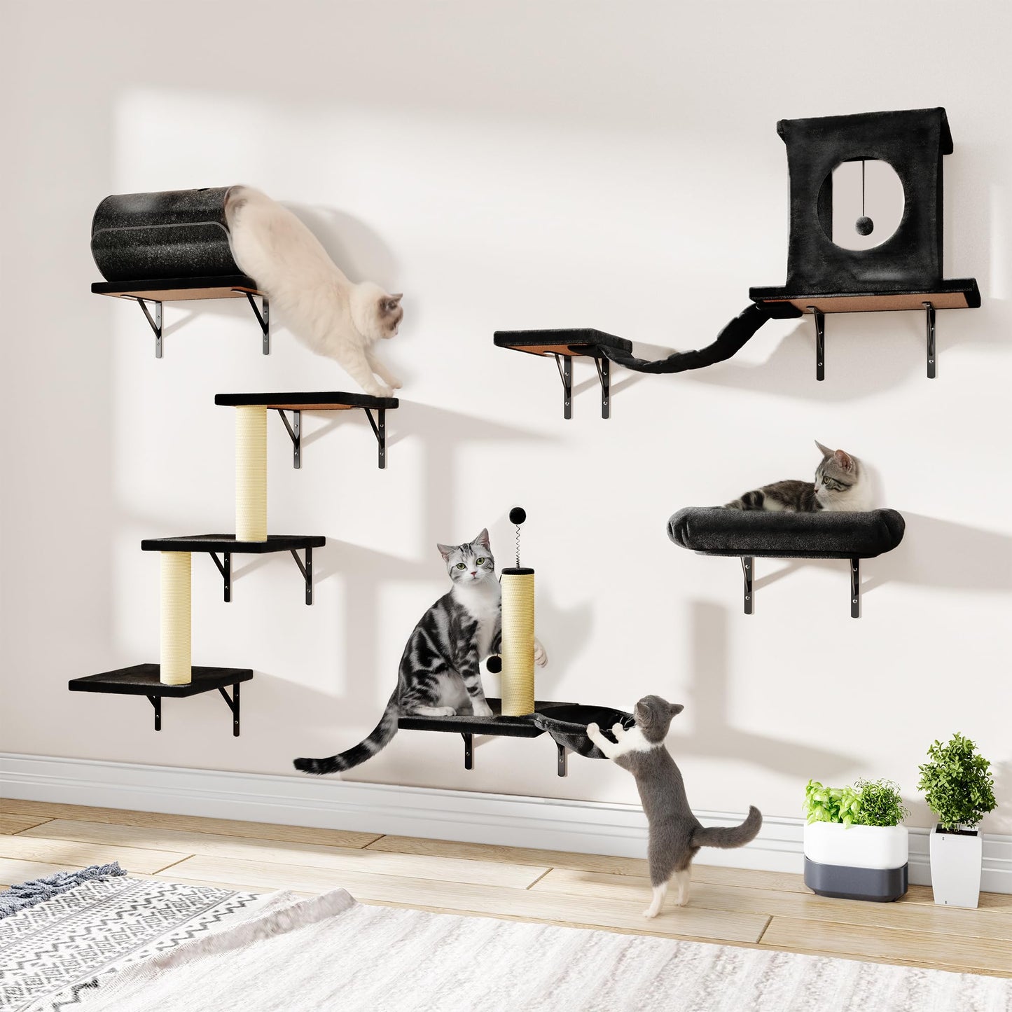 Wall Mounted Cat Shelves Furniture Set Climbing Perches