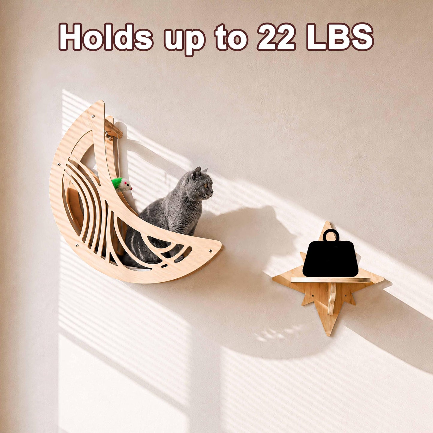 Catails CWS for Indoor Cat - Moon&Star