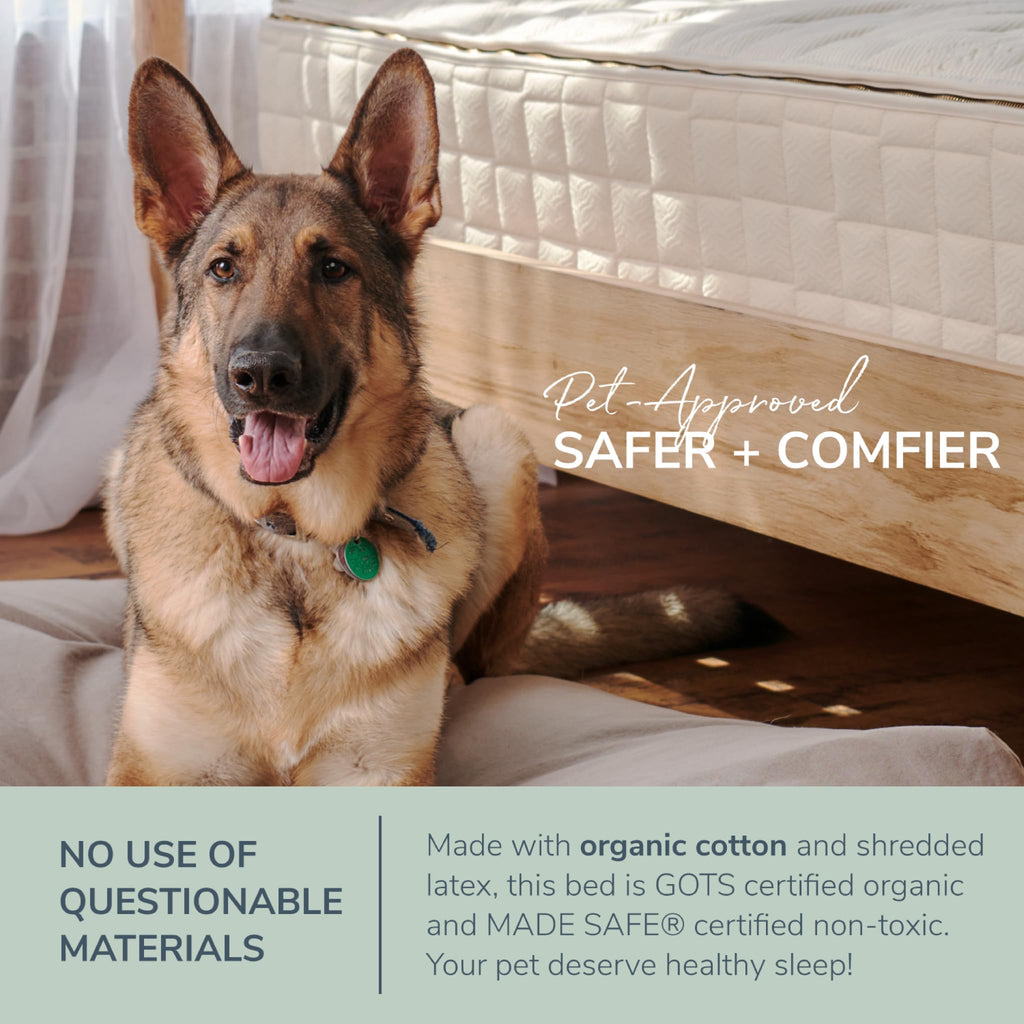 Naturepedic Organic Pet Bed & Pet Bed Cover - Parent