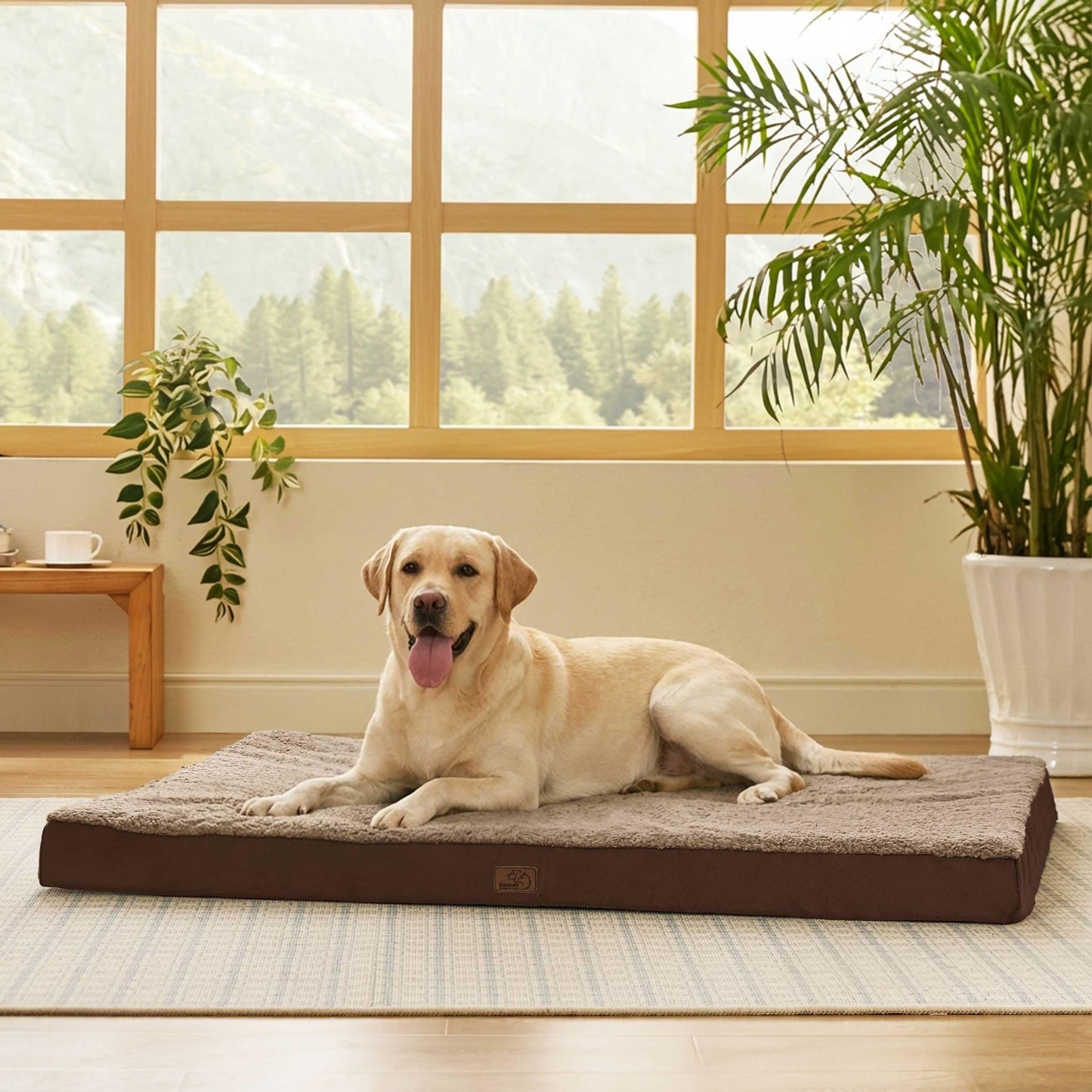 Orthopedic Foam Dog Bed Egg Crate Washable Cover Mat