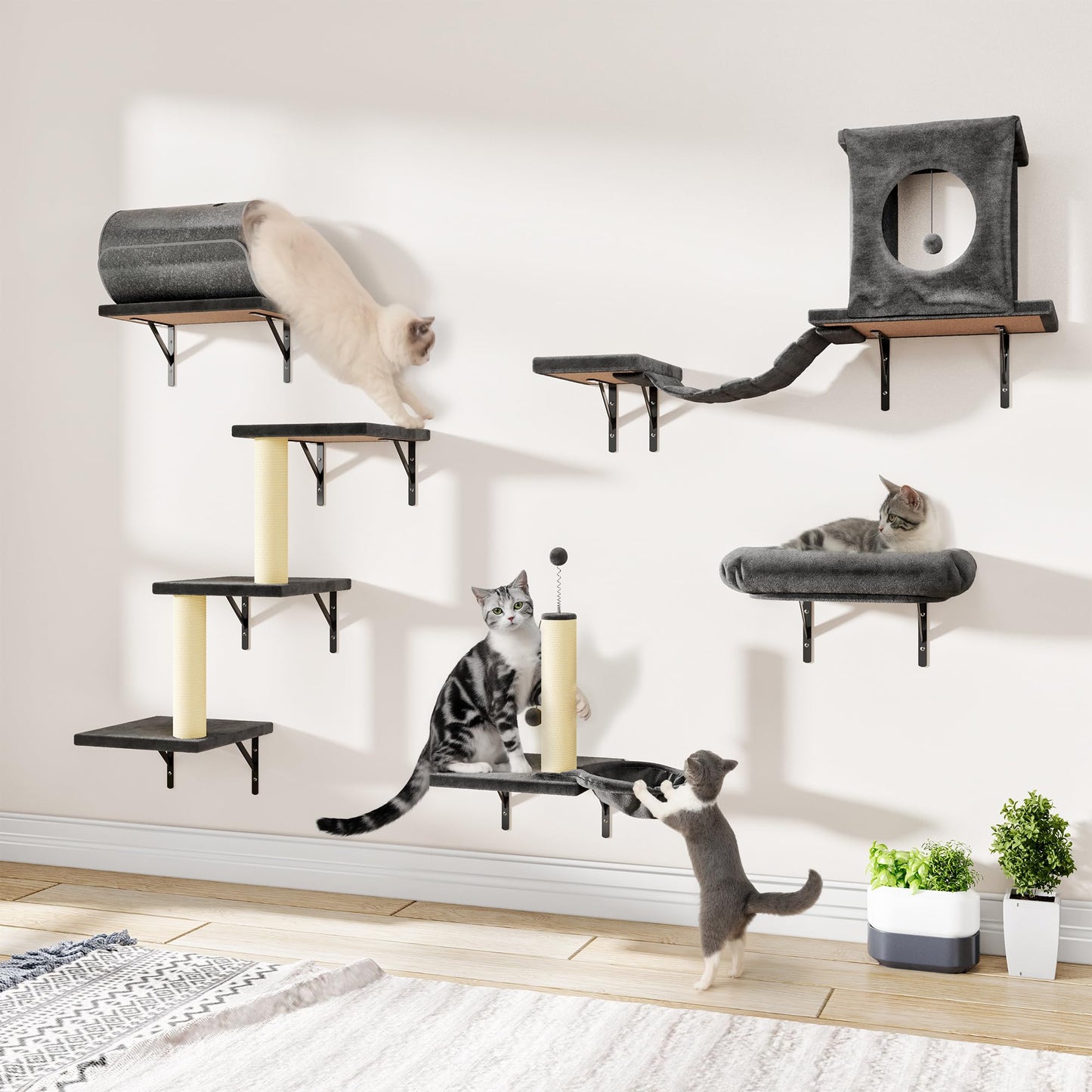 Wall Mounted Cat Shelves Furniture Set Climbing Perches