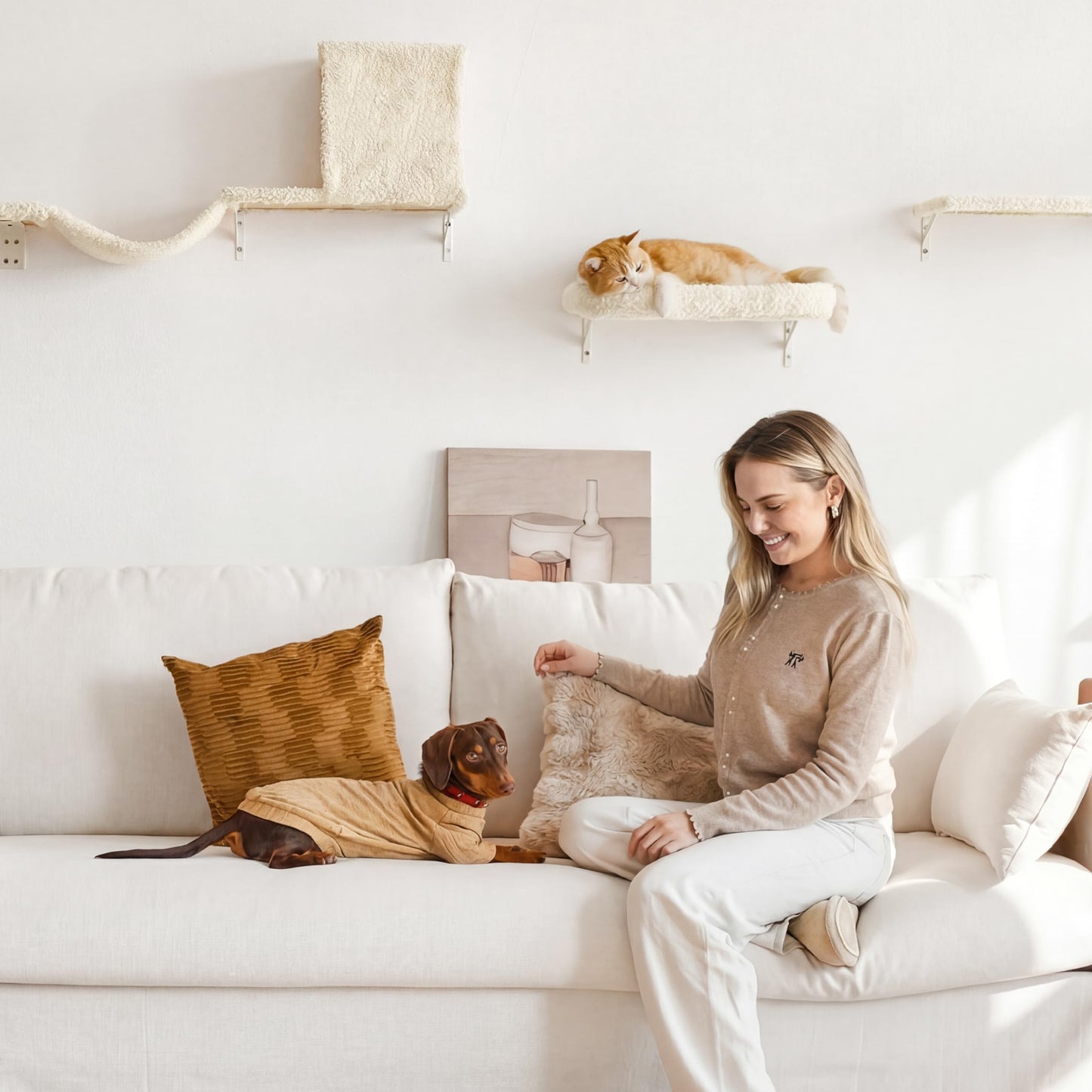 Wall Mounted Cat Shelves Climbing Set Scratcher Wood