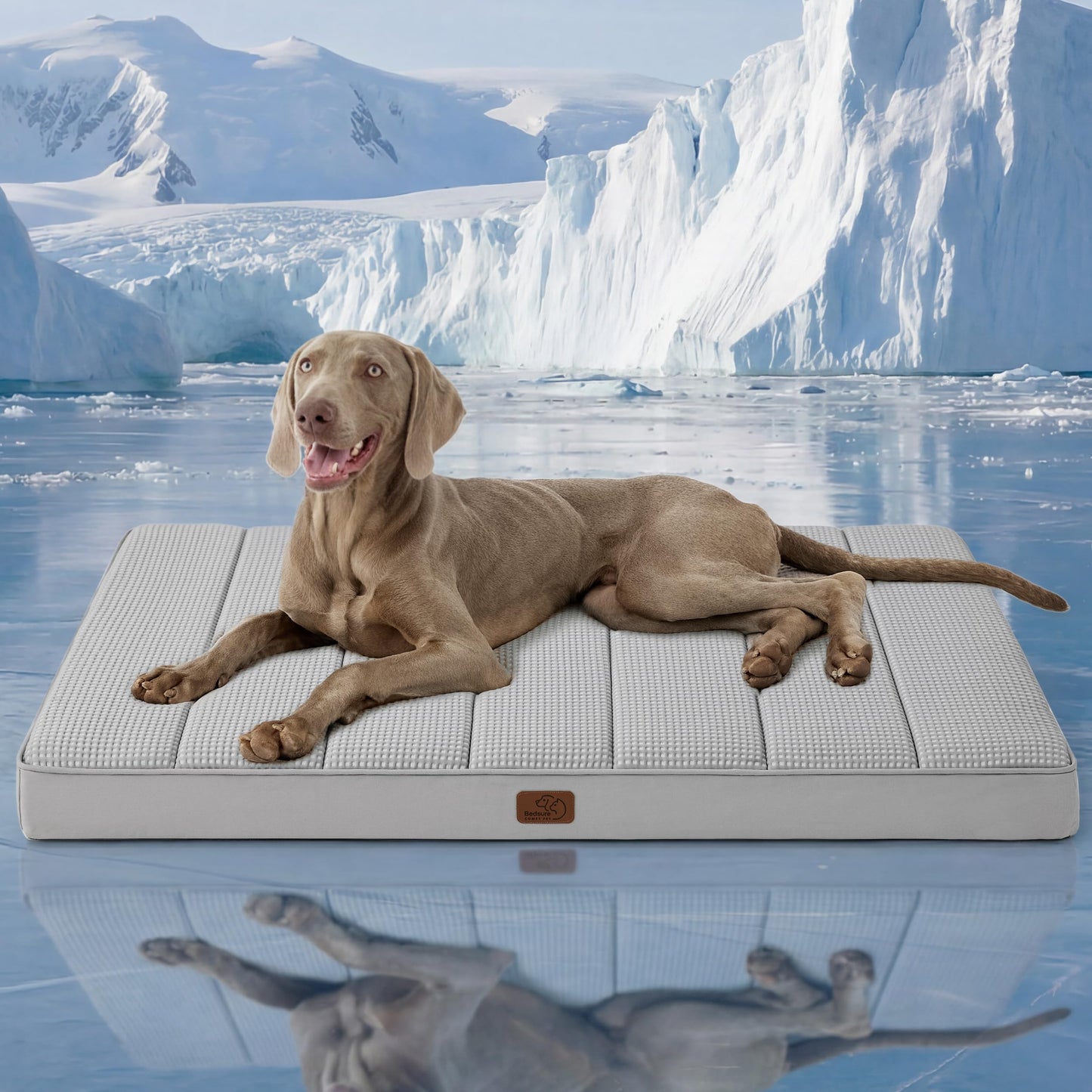 Orthopedic Foam Dog Bed Egg Crate Washable Cover Mat
