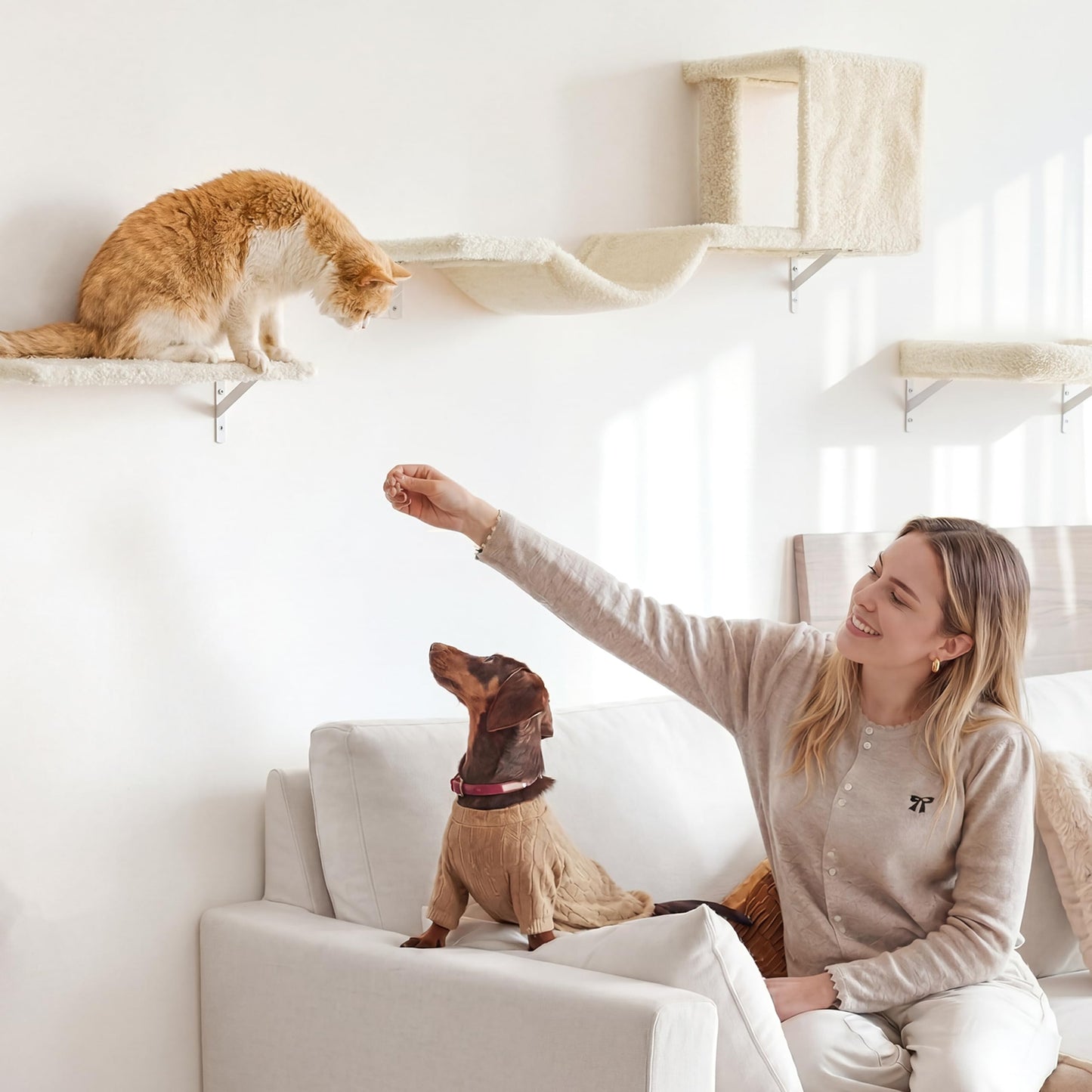 Wall Mounted Cat Shelves Climbing Set Scratcher Wood