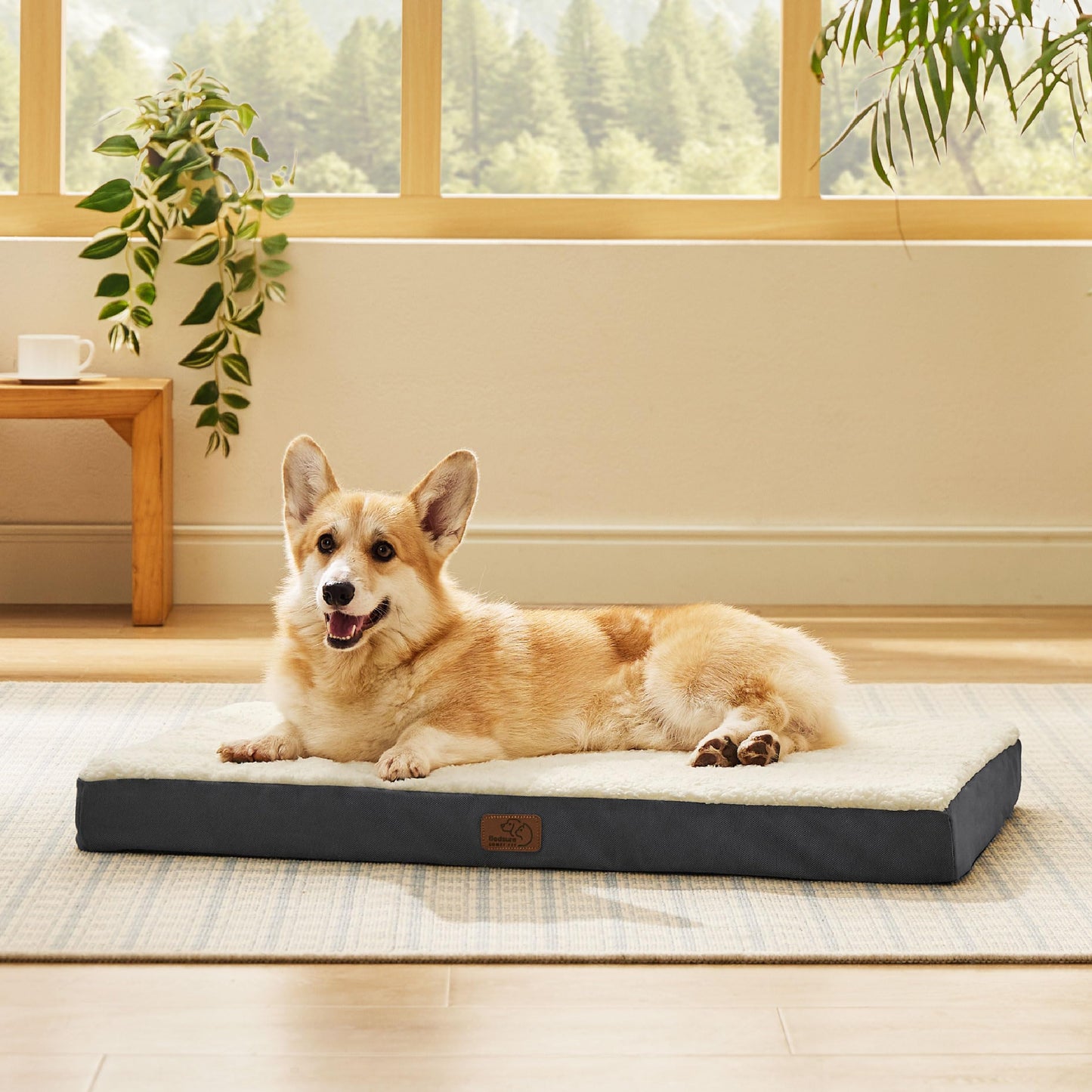 Orthopedic Foam Dog Bed Egg Crate Washable Cover Mat