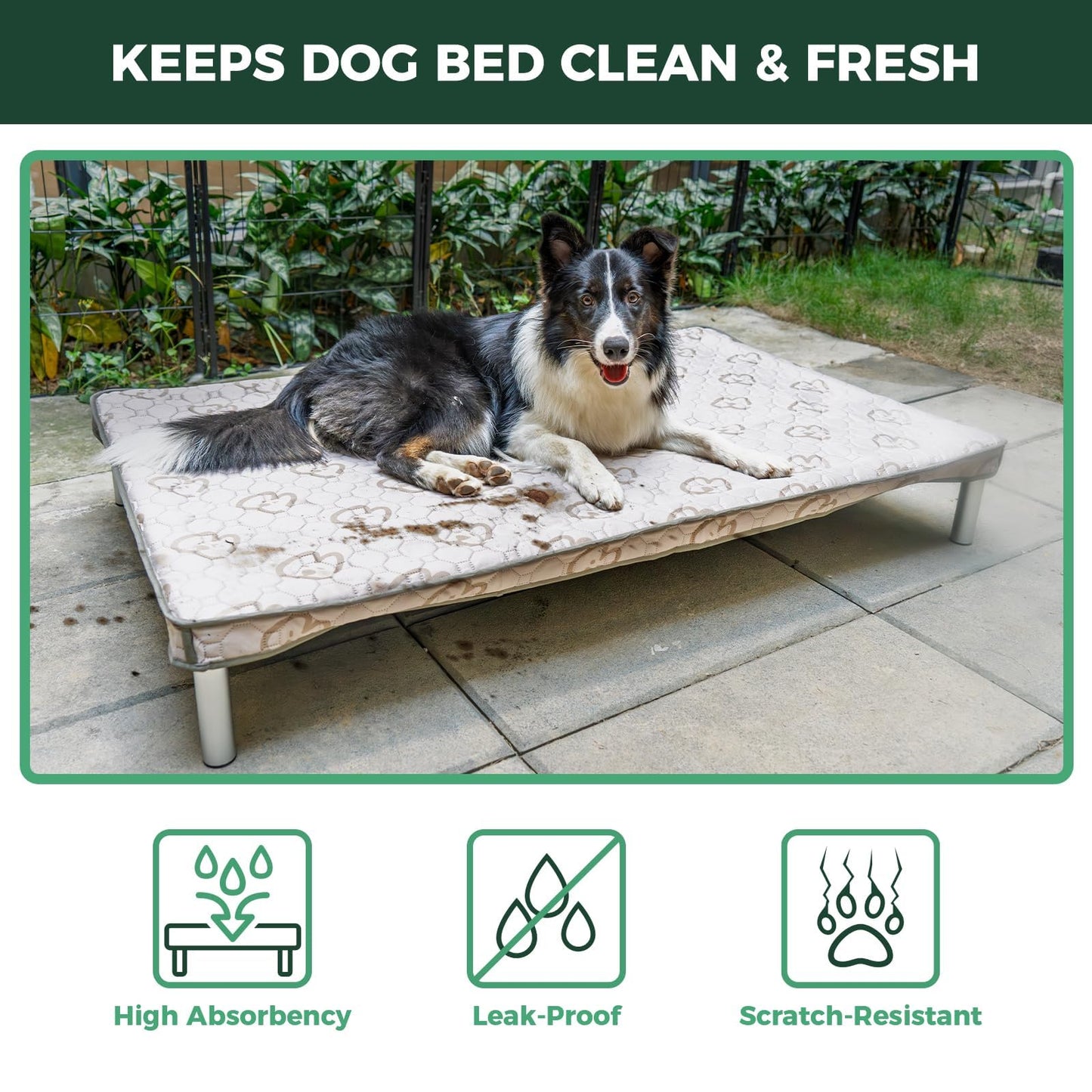 Chew Proof Elevated Dog Bed Raised Cooling Cot Waterproof