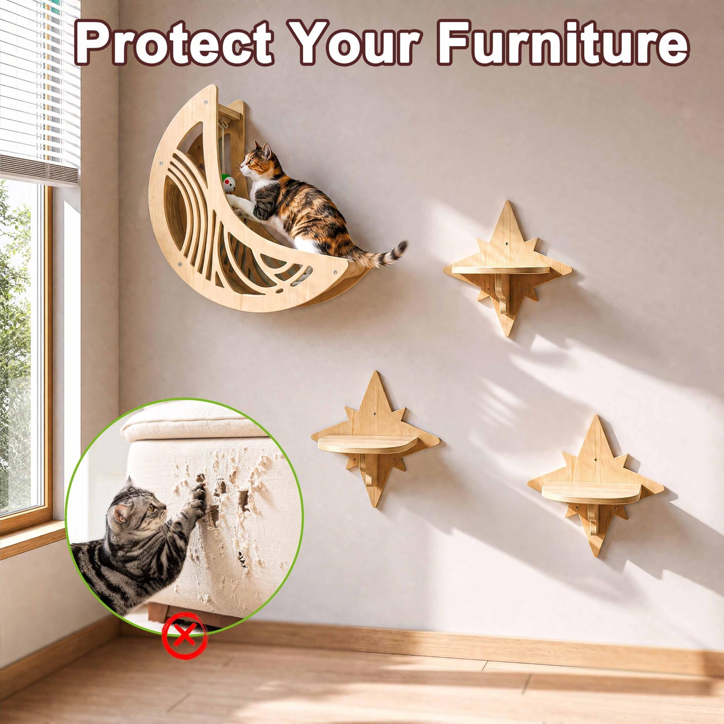 Catails CWS for Indoor Cat - Moon&Star