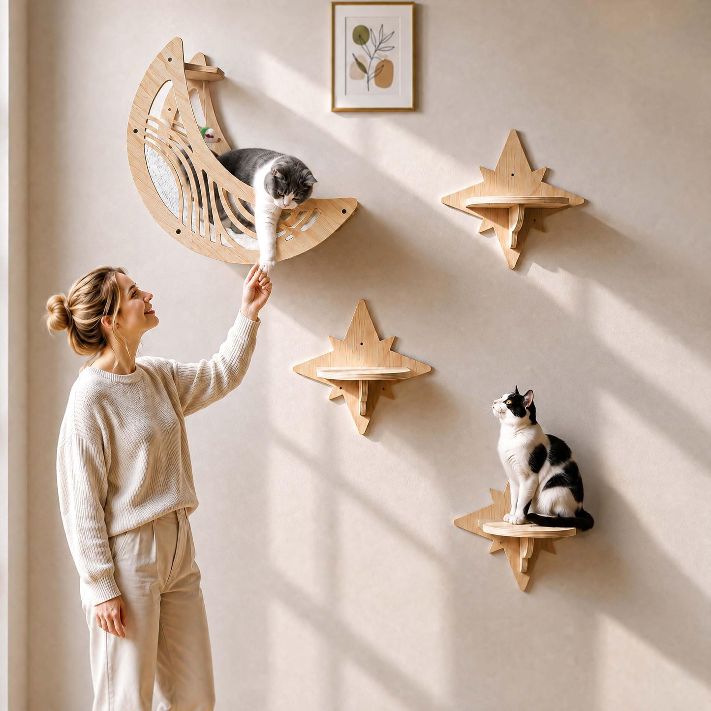 Catails CWS for Indoor Cat - Moon&Star
