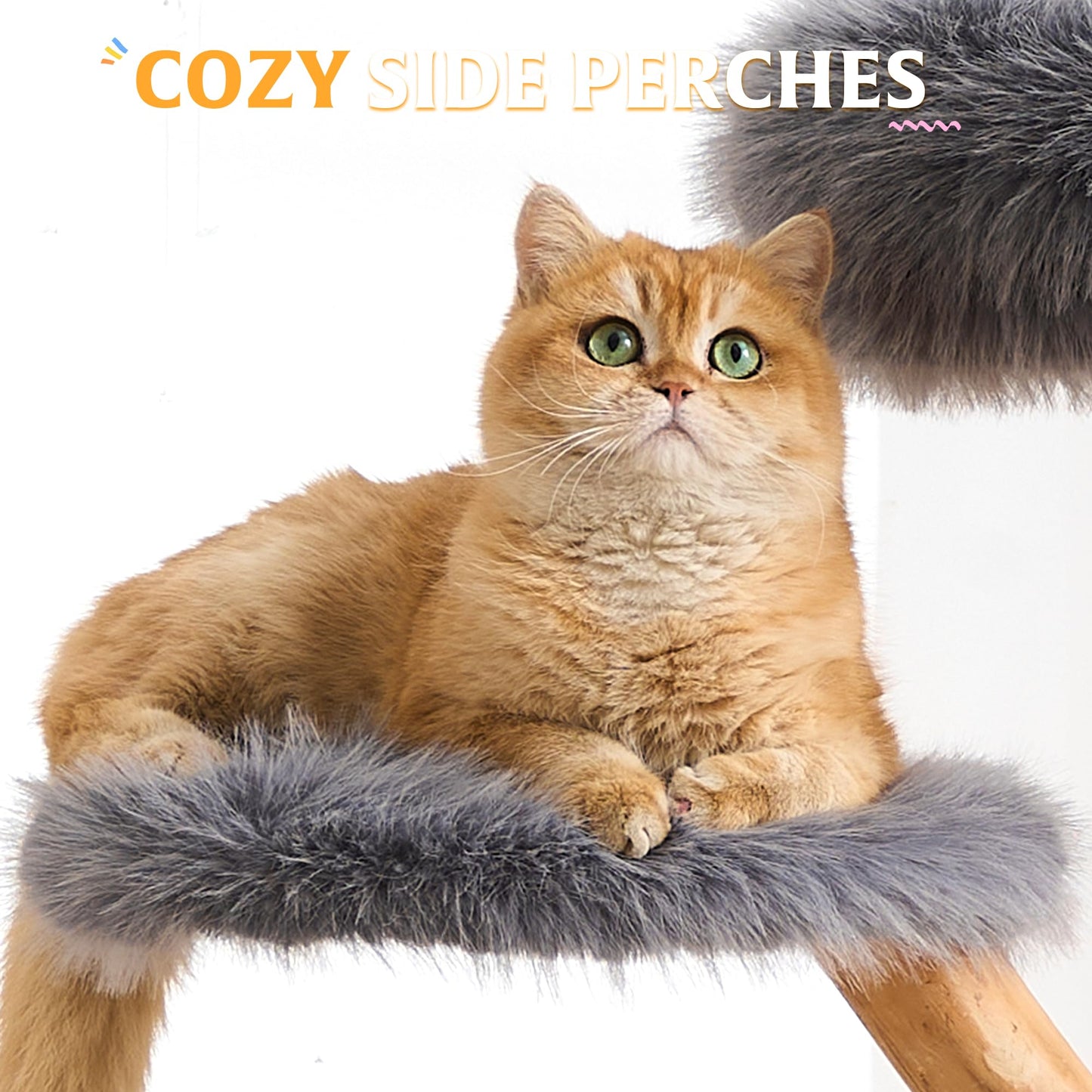 Solid Wood Cat Tree Tower Scratching Post Space Capsule Bed