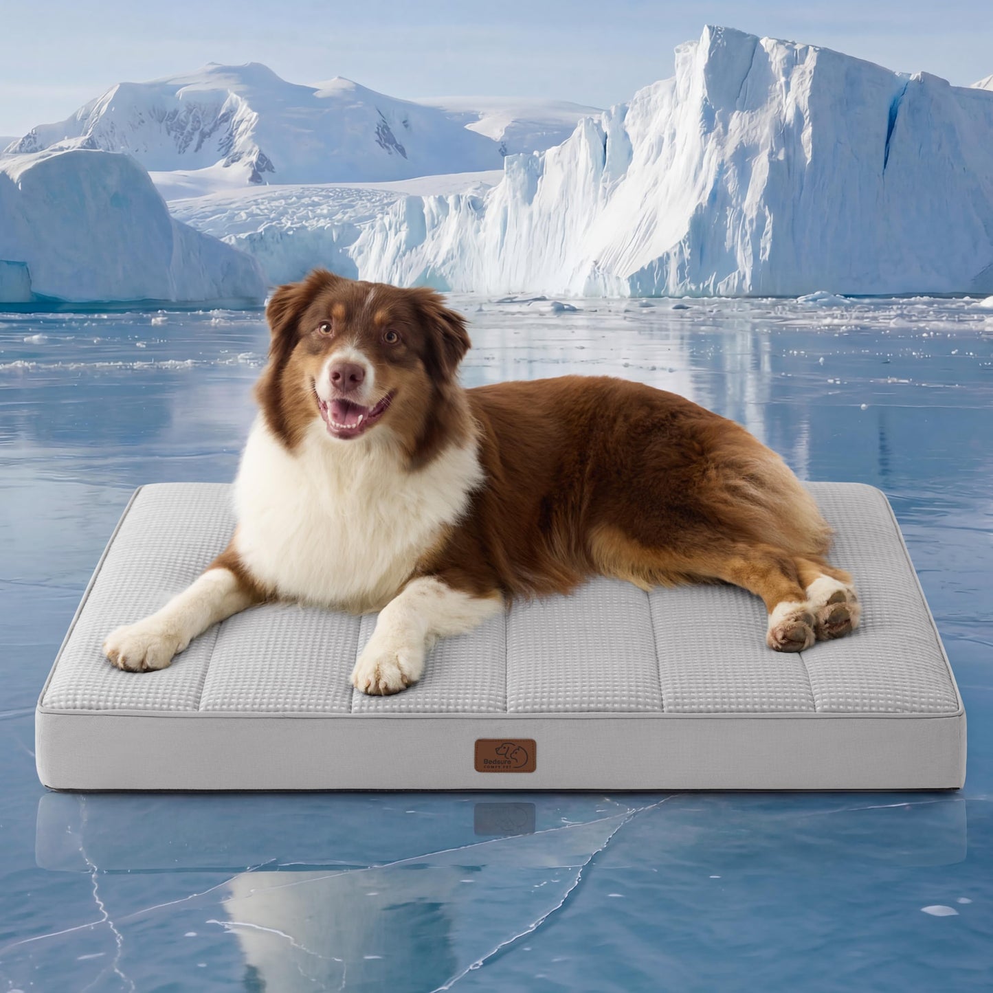 Orthopedic Foam Dog Bed Egg Crate Washable Cover Mat