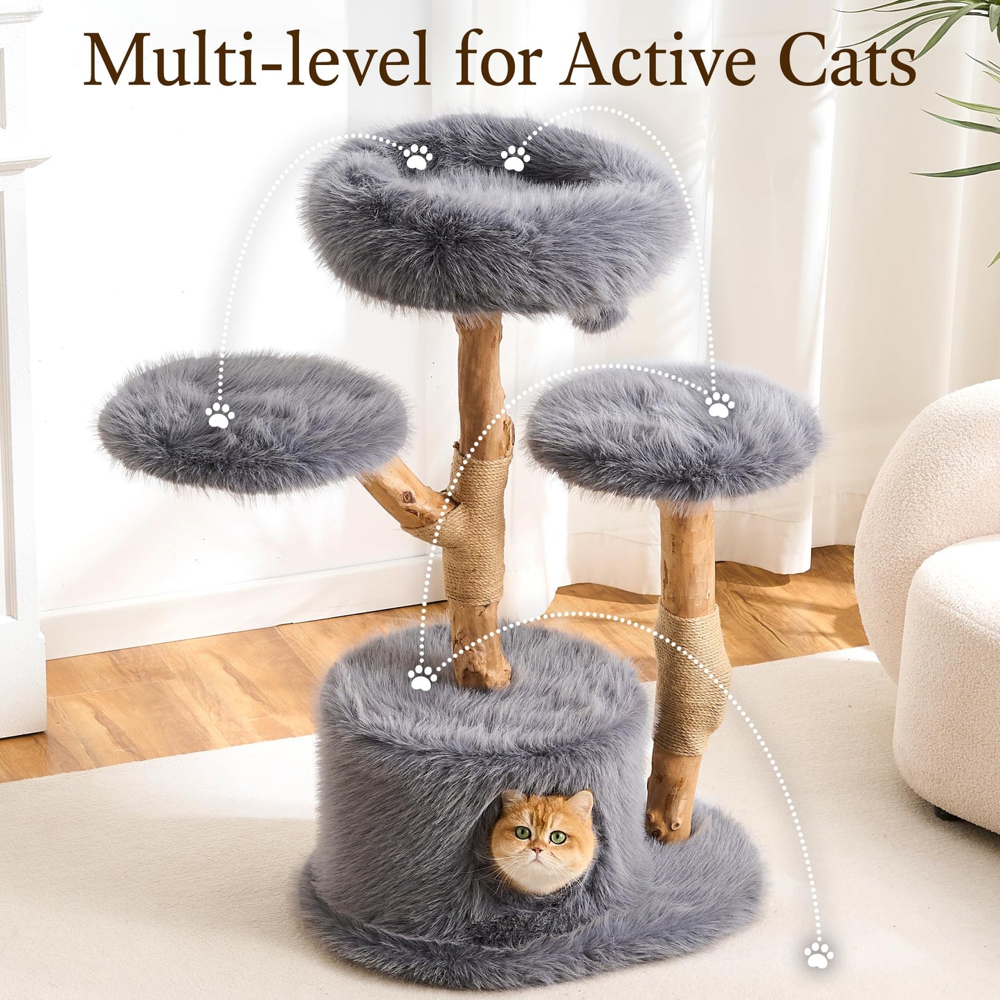 Solid Wood Cat Tree Tower Scratching Post Space Capsule Bed