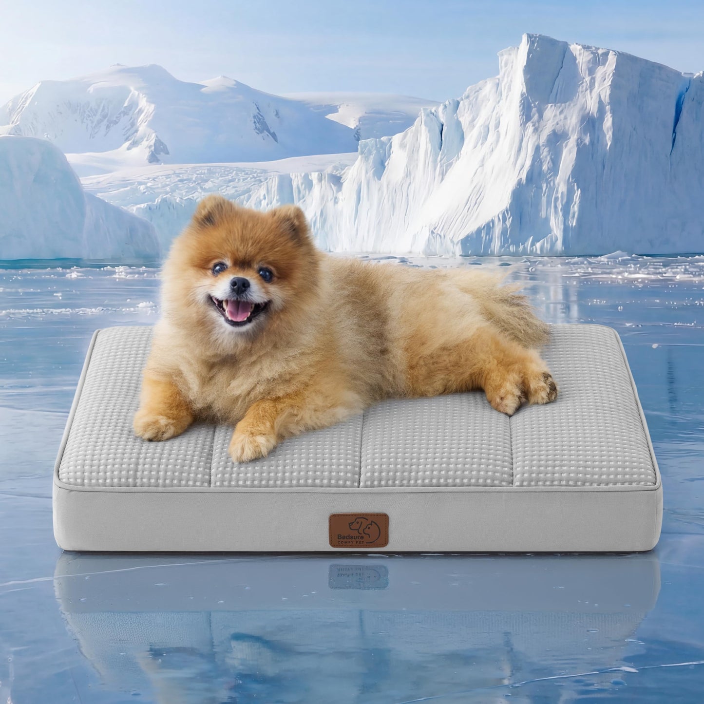 Orthopedic Foam Dog Bed Egg Crate Washable Cover Mat