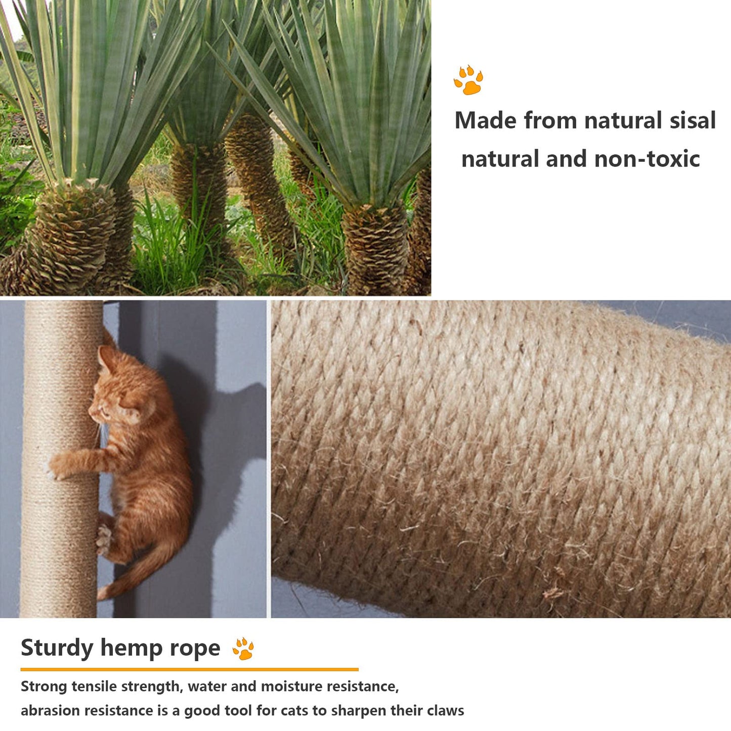 Cat Wall Shelves Furniture Set Condo Perch Bridge Scratcher