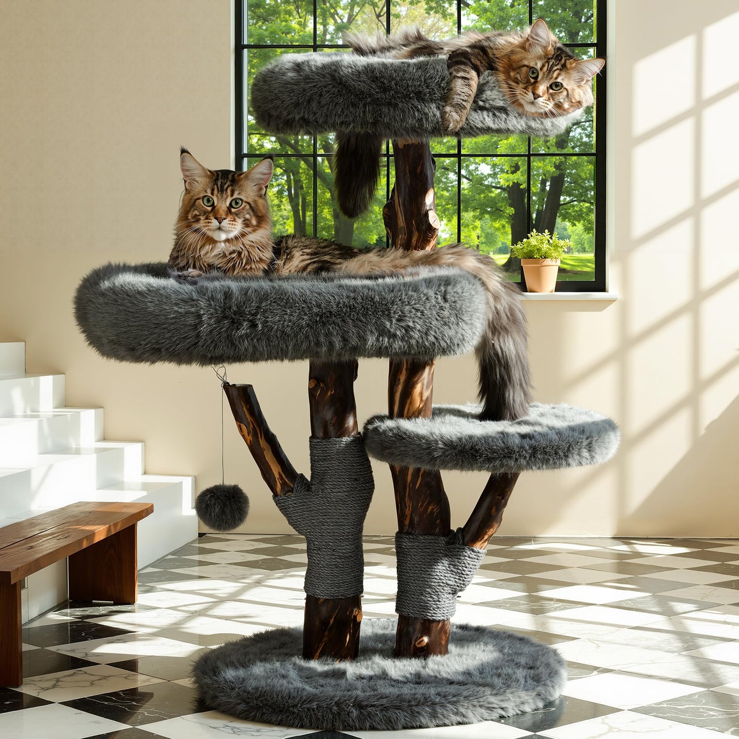 Solid Wood Cat Tree Tall Condo Scratching Post Large Cats