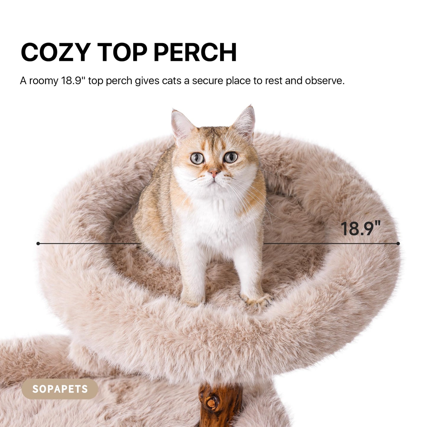 Solid Wood Cat Tree Tall Condo Scratching Post Large Cats
