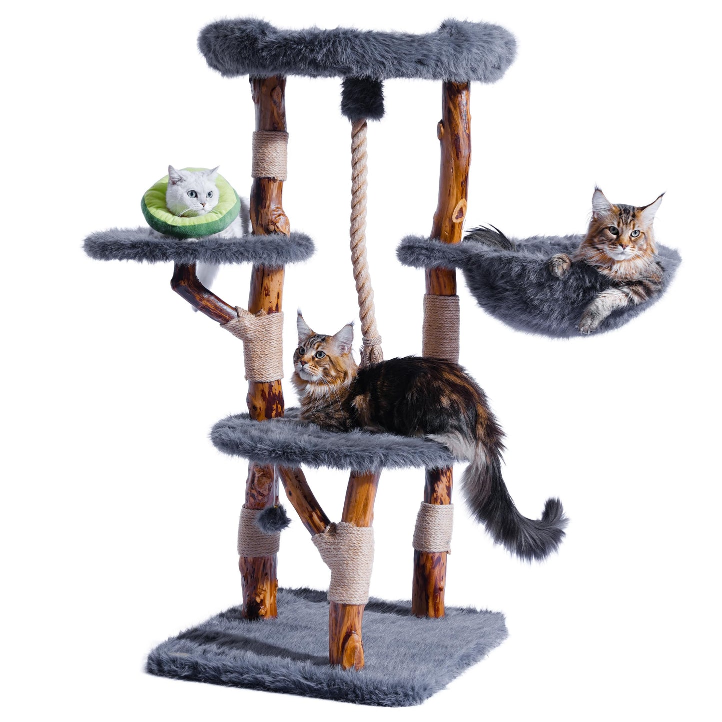 Solid Wood Cat Tree Tall Condo Scratching Post Large Cats
