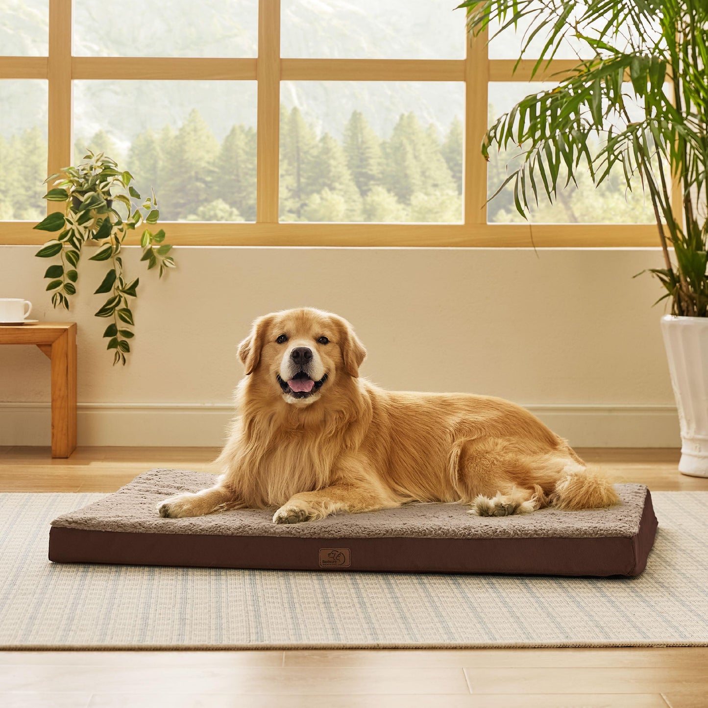 Orthopedic Foam Dog Bed Egg Crate Washable Cover Mat