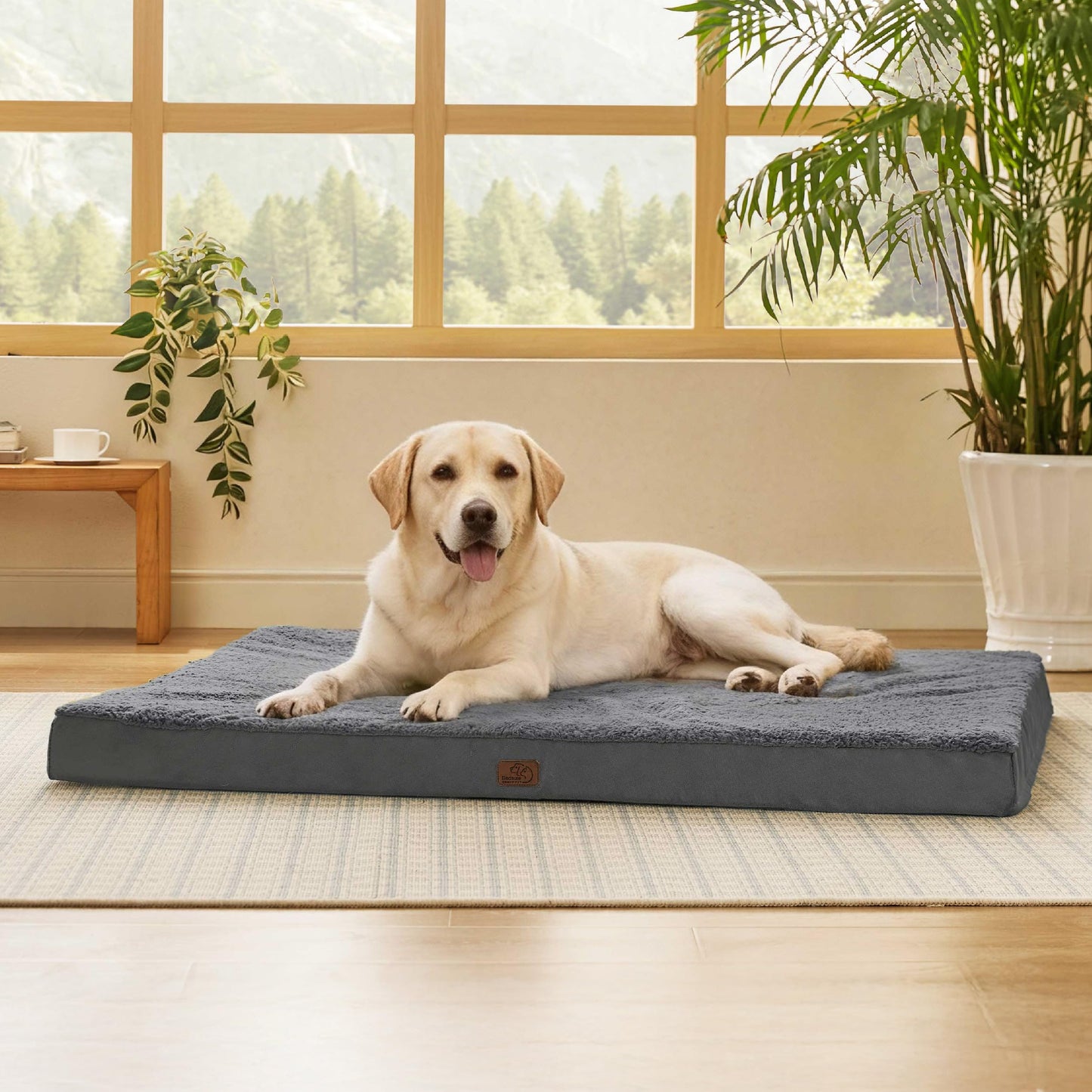 Orthopedic Foam Dog Bed Egg Crate Washable Cover Mat