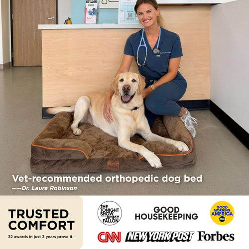 Bedsure Orthopedic Dog Bed - Washable Bolster Dog Cat Sofa Beds, Supportive Foam Pet Couch Bed with Removable Washable Cover, Waterproof Lining and Nonskid Bottom