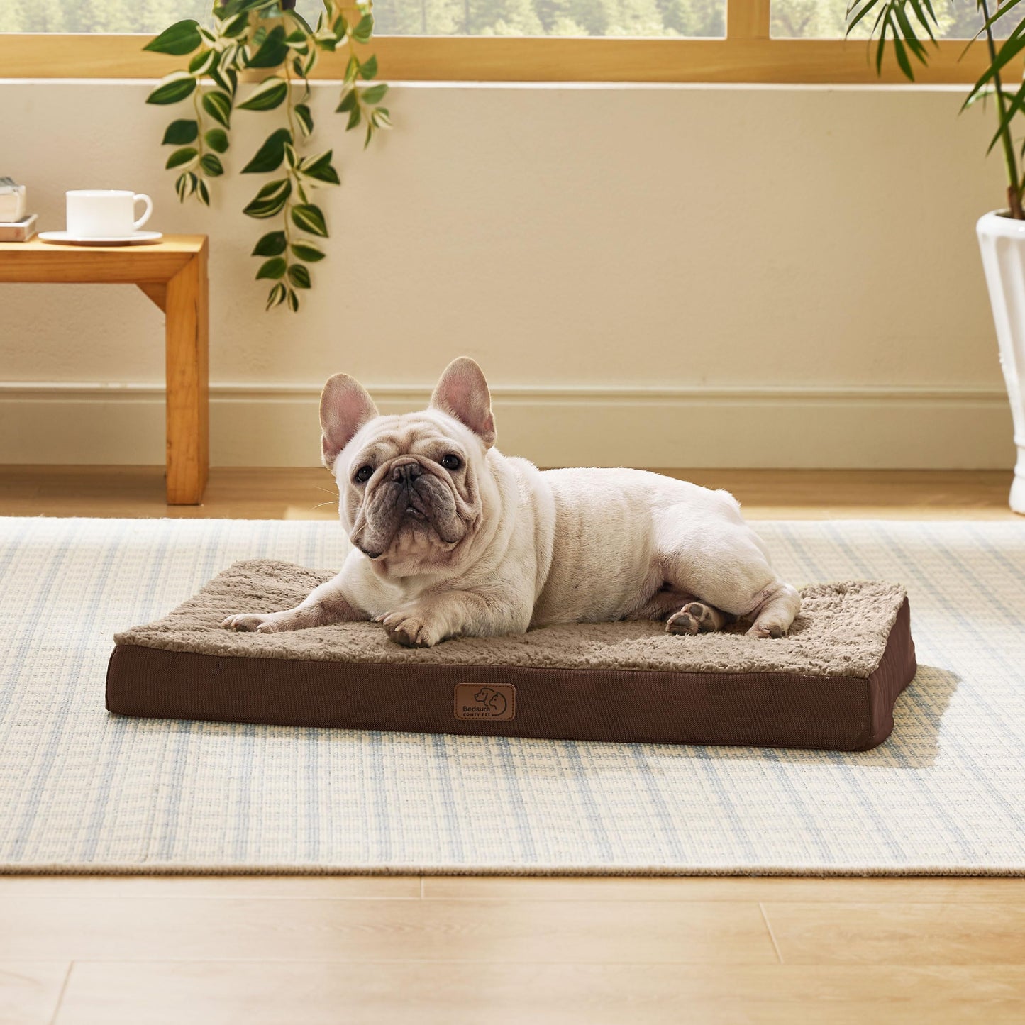 Orthopedic Foam Dog Bed Egg Crate Washable Cover Mat