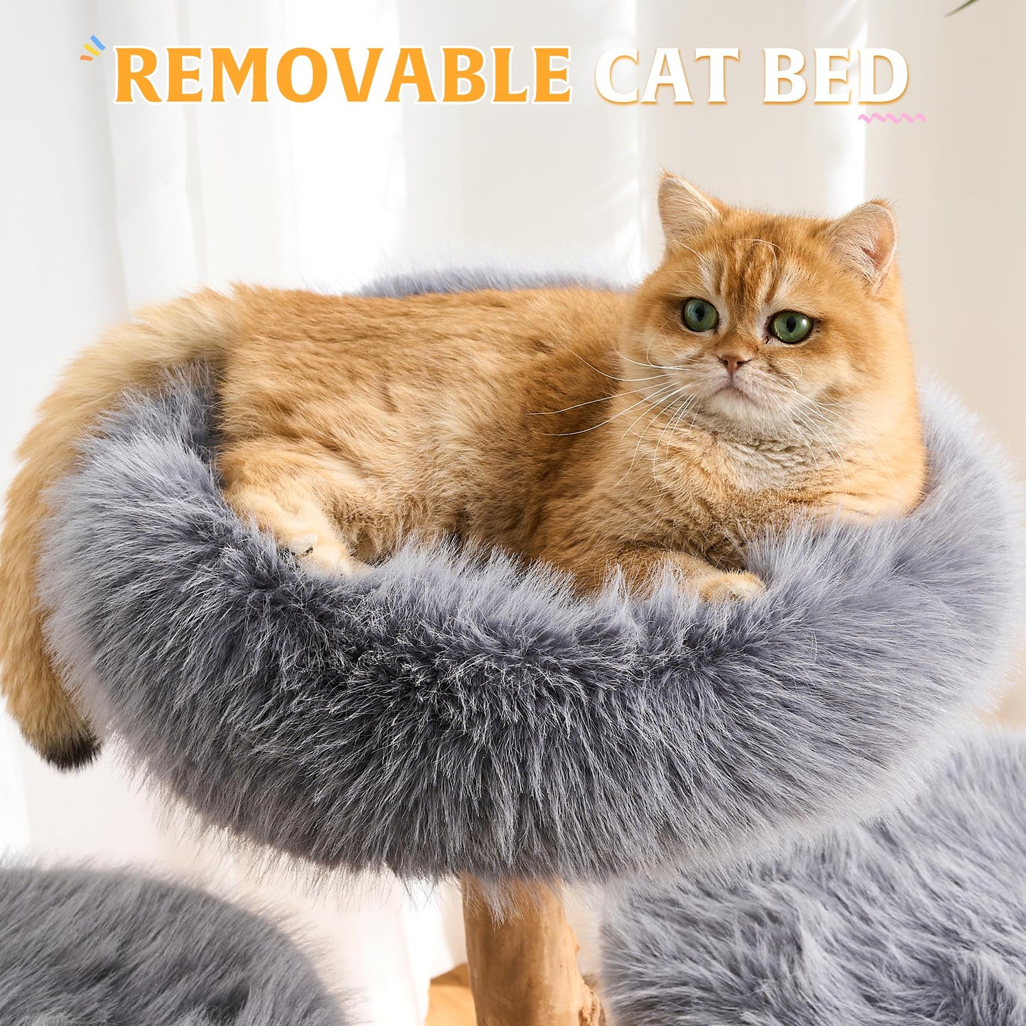 Solid Wood Cat Tree Tower Scratching Post Space Capsule Bed