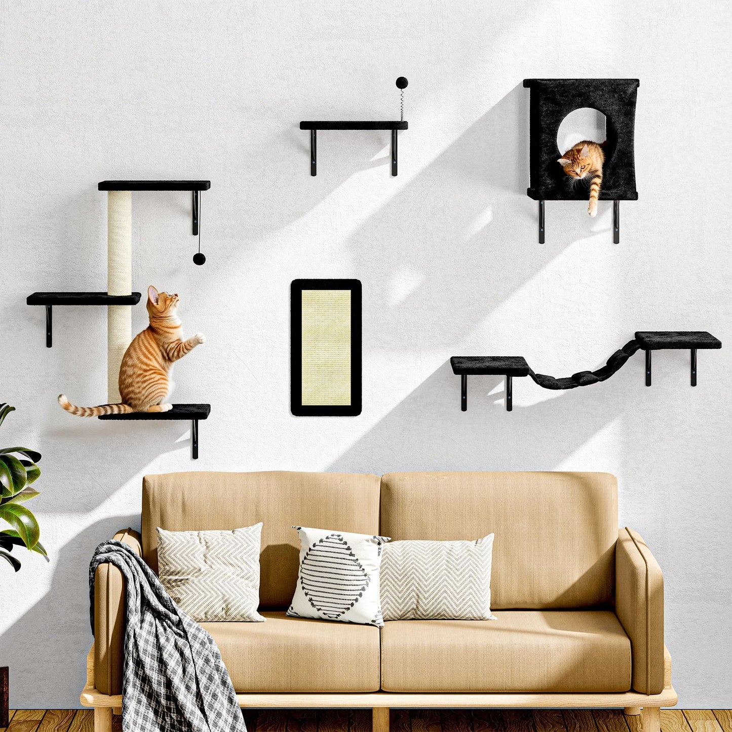 Wall Mounted Cat Shelves Furniture Set Climbing Perches