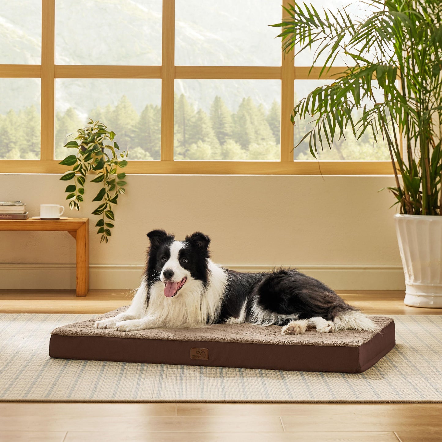 Orthopedic Foam Dog Bed Egg Crate Washable Cover Mat